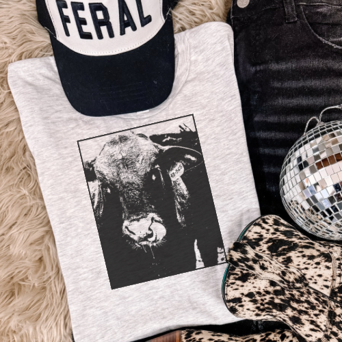 Cow photo tee sublimation T-shirt