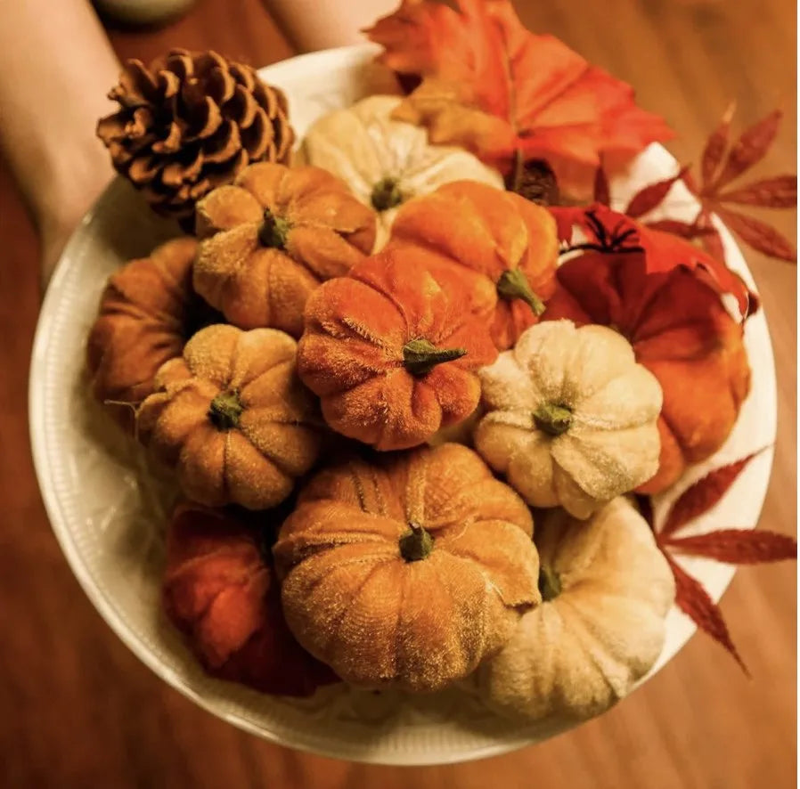 Fall Velvet Pumpkin Sets