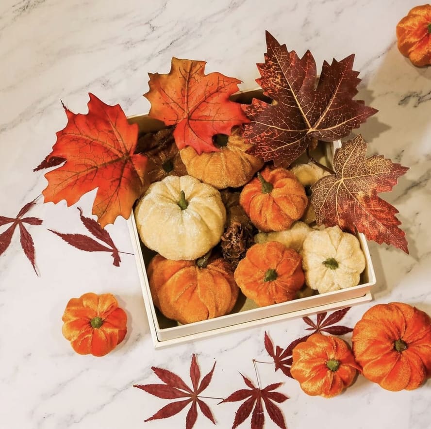Fall Velvet Pumpkin Sets